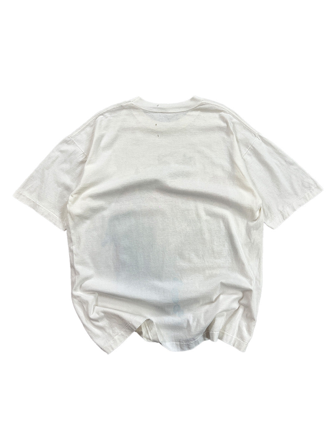 Vintage Rainforest Belize T-Shirt 90s Single Stitch | XL