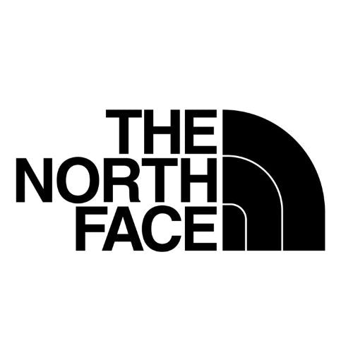 The North Face Logo Vintage Online Store
