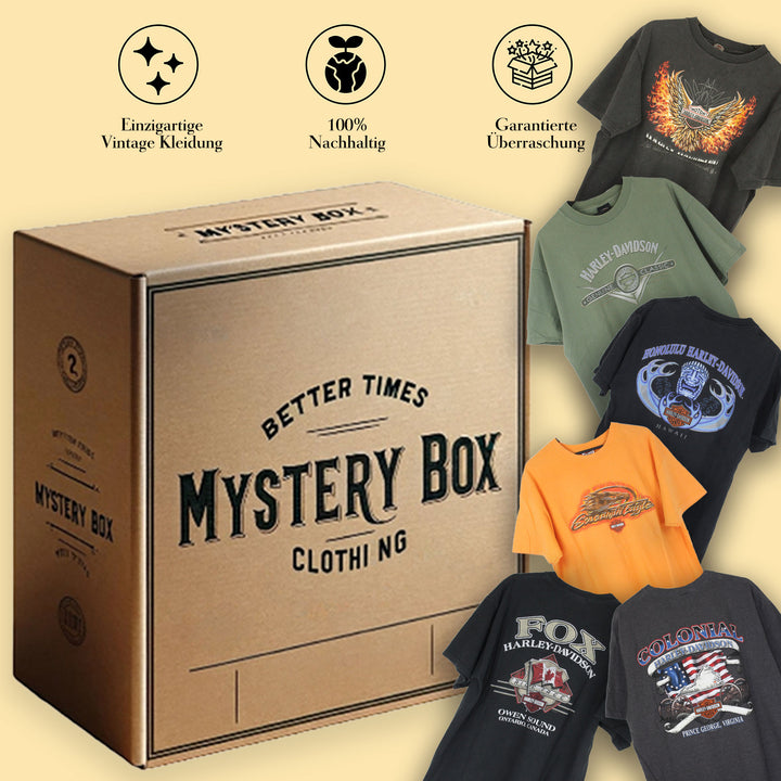 Vintage Mystery Box Harley Davidson Shirts