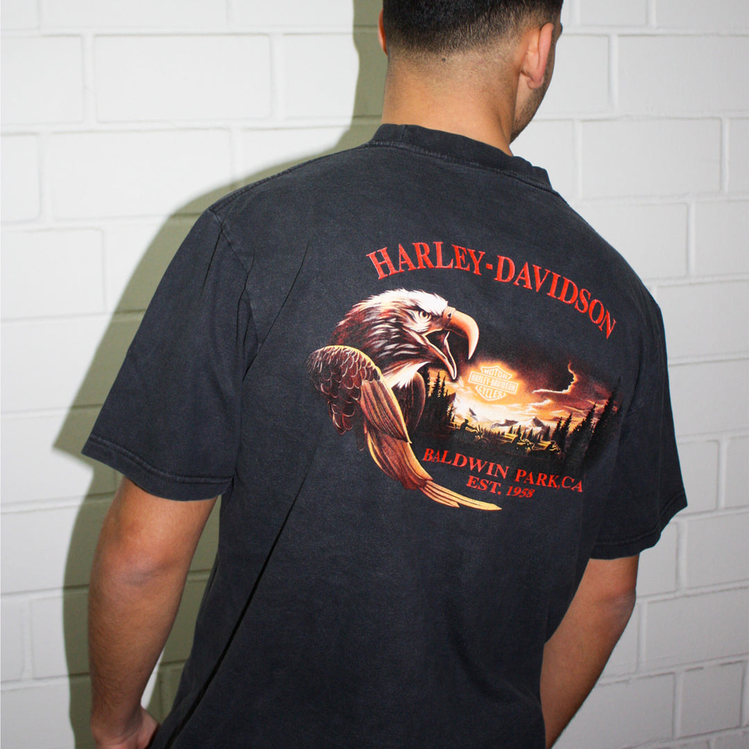 Vintage Mystery Box Harley Davidson T-Shirt